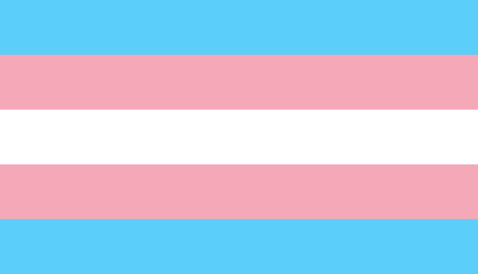 Transgender pride flag.