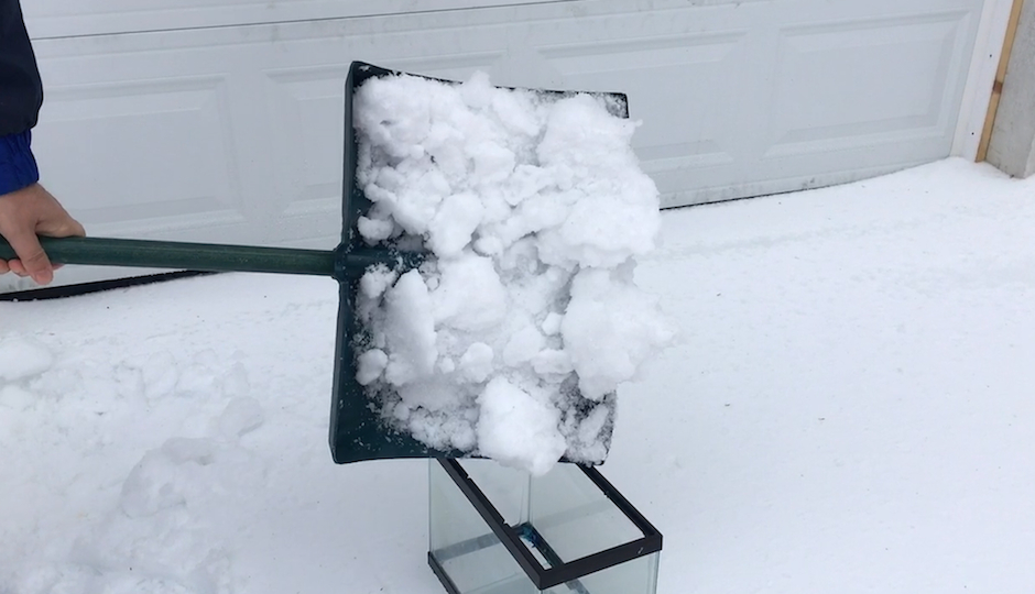 A shovelful of snow, an empty aquarium, and a digital scale were the tools used in our highly scientific experiment.