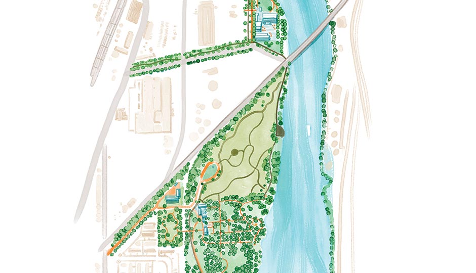 Illustration by Charlie Layton