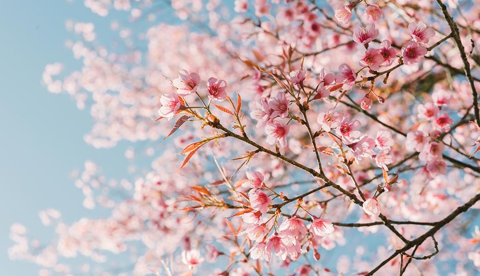 Photo by PongsakornJun/iStck