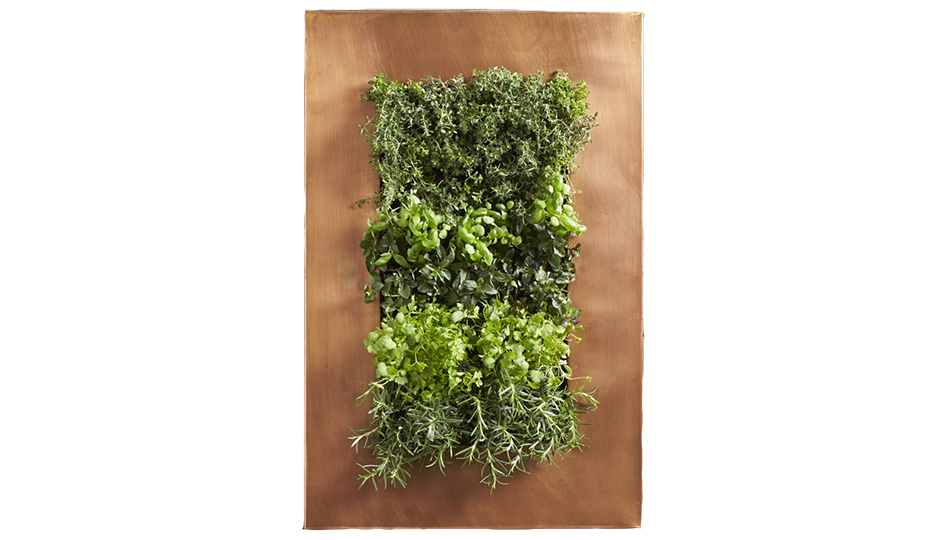 planter