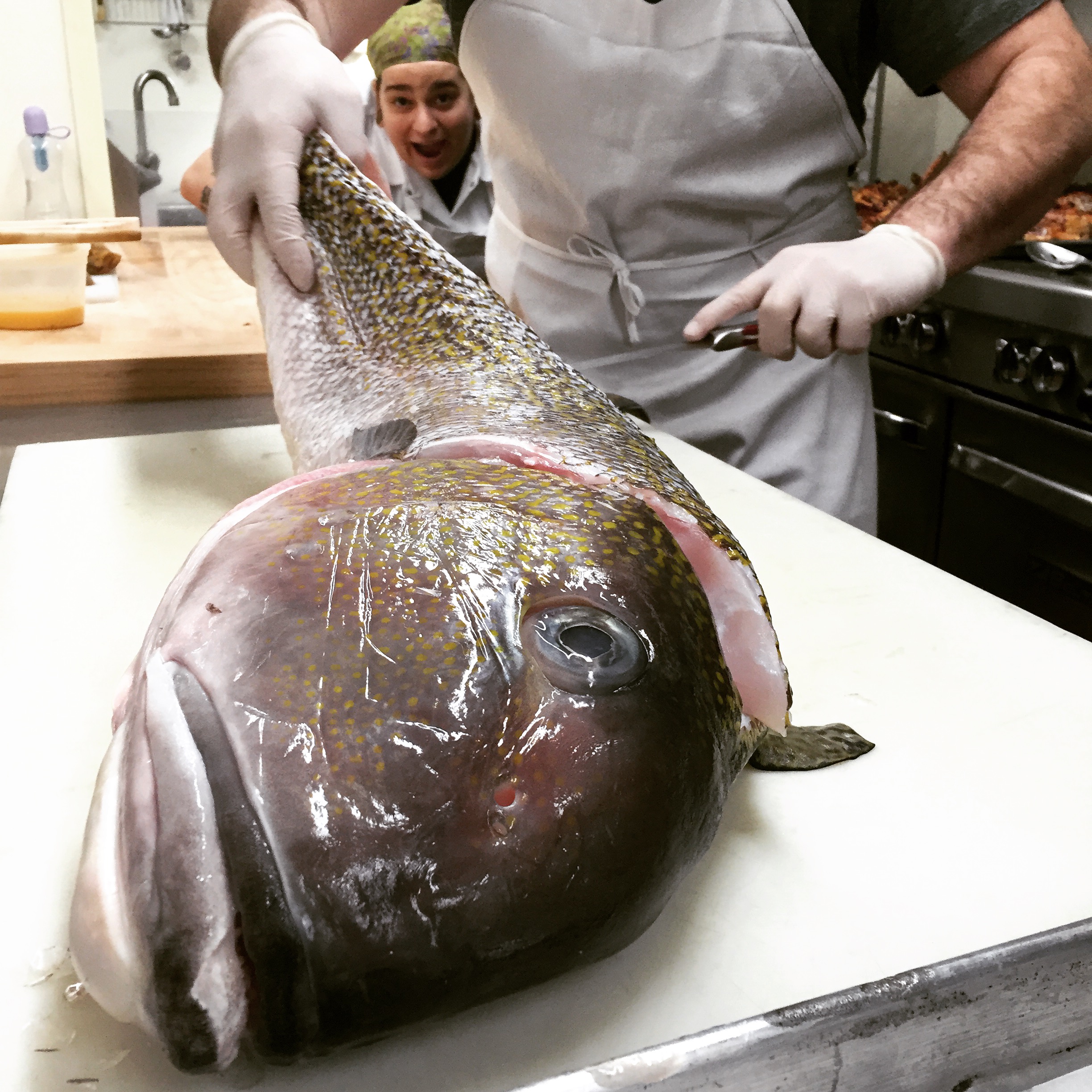 Pictured: Theresa Lazzari (behind the guy holding the fish)