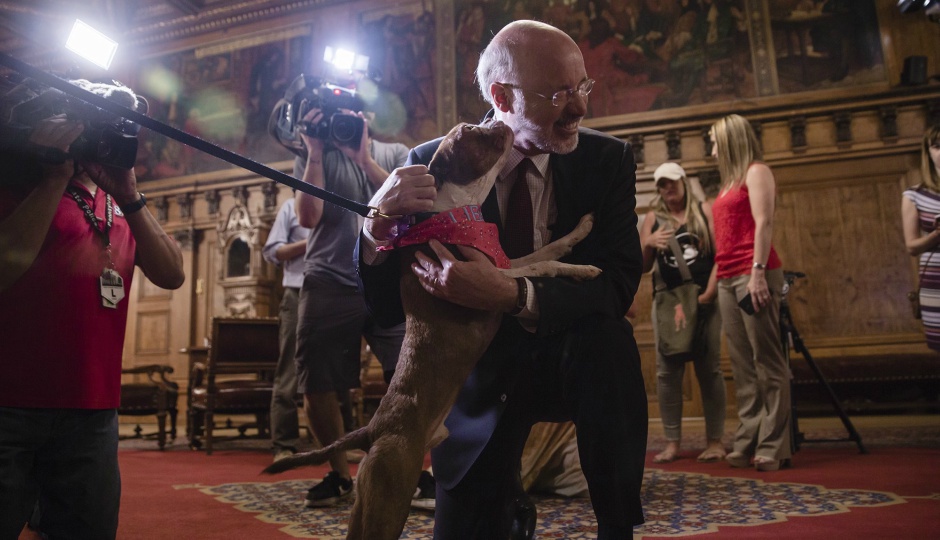 animal cruelty, tom wolf