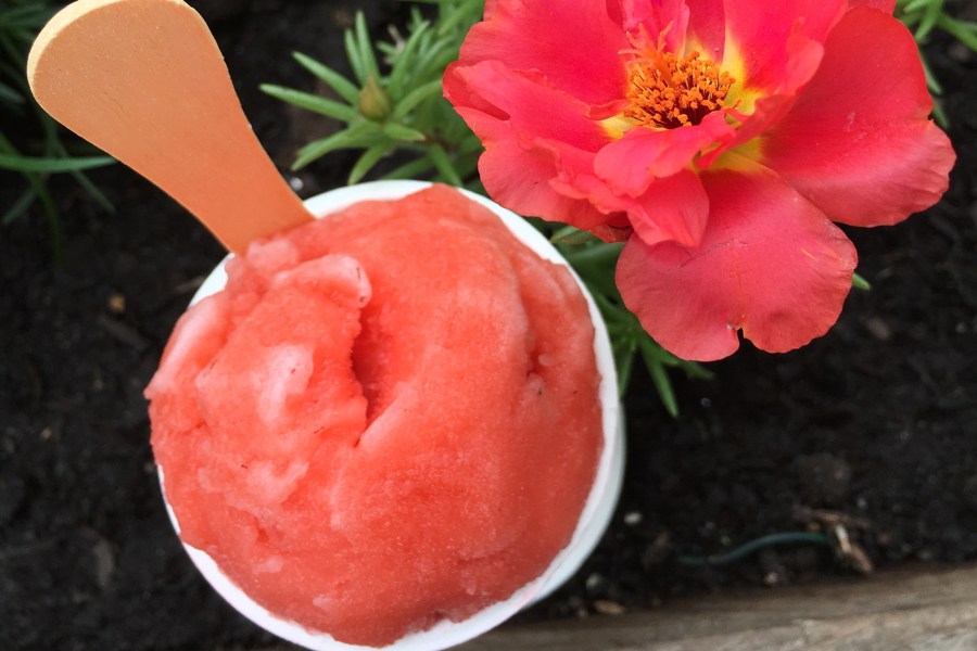 water ice, watershed ice