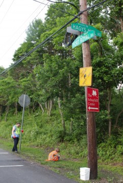 toad detour