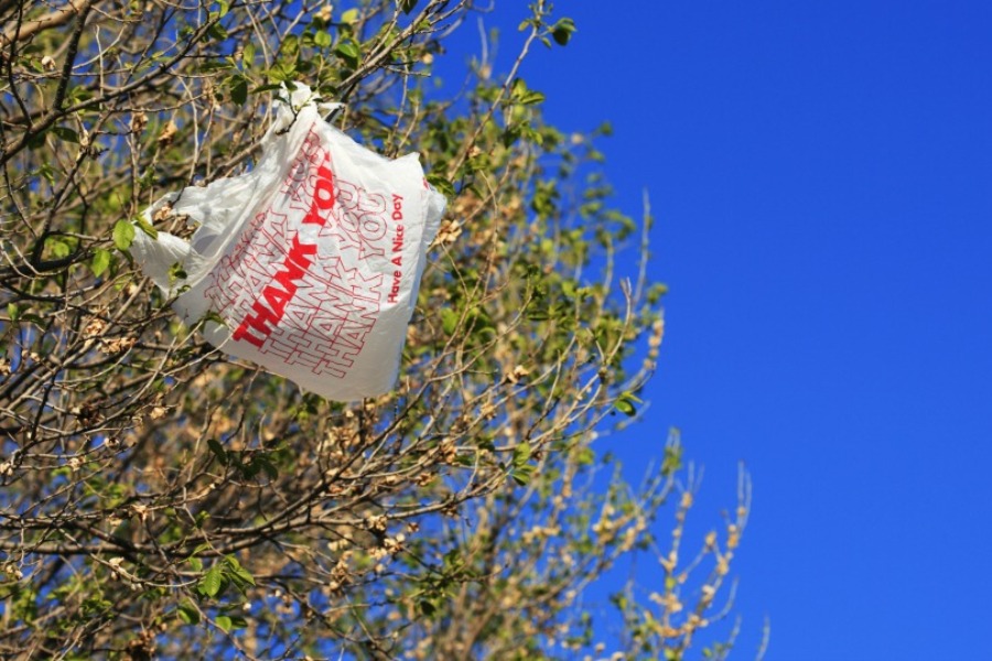 plastic bags, plastic bag