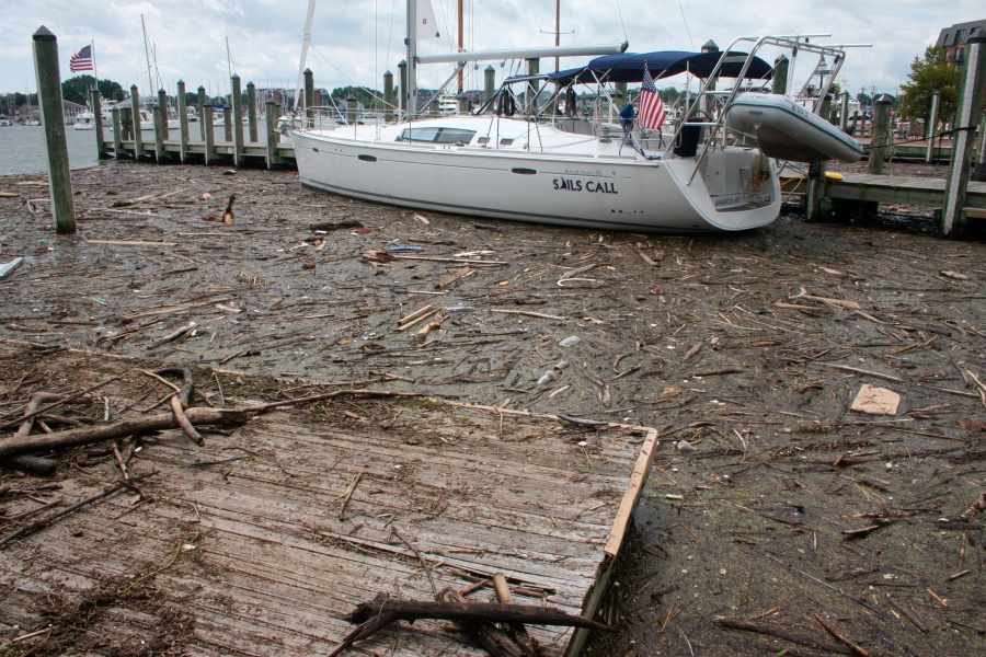 maryland, trash, chesapeake bay