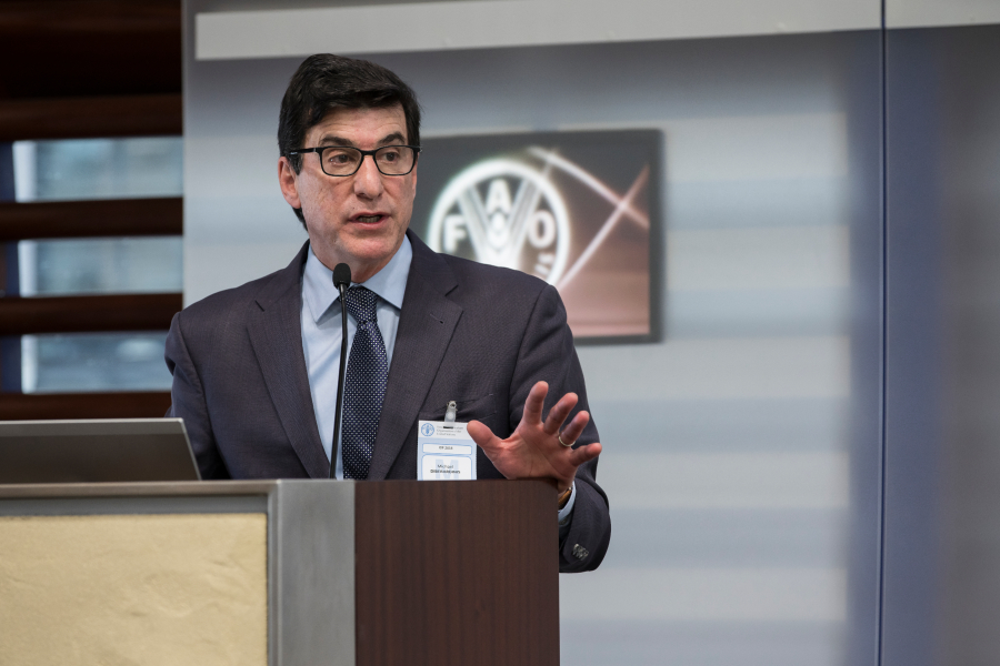 michael diberardinis