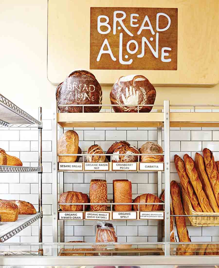 rhinebeck new york things to do
