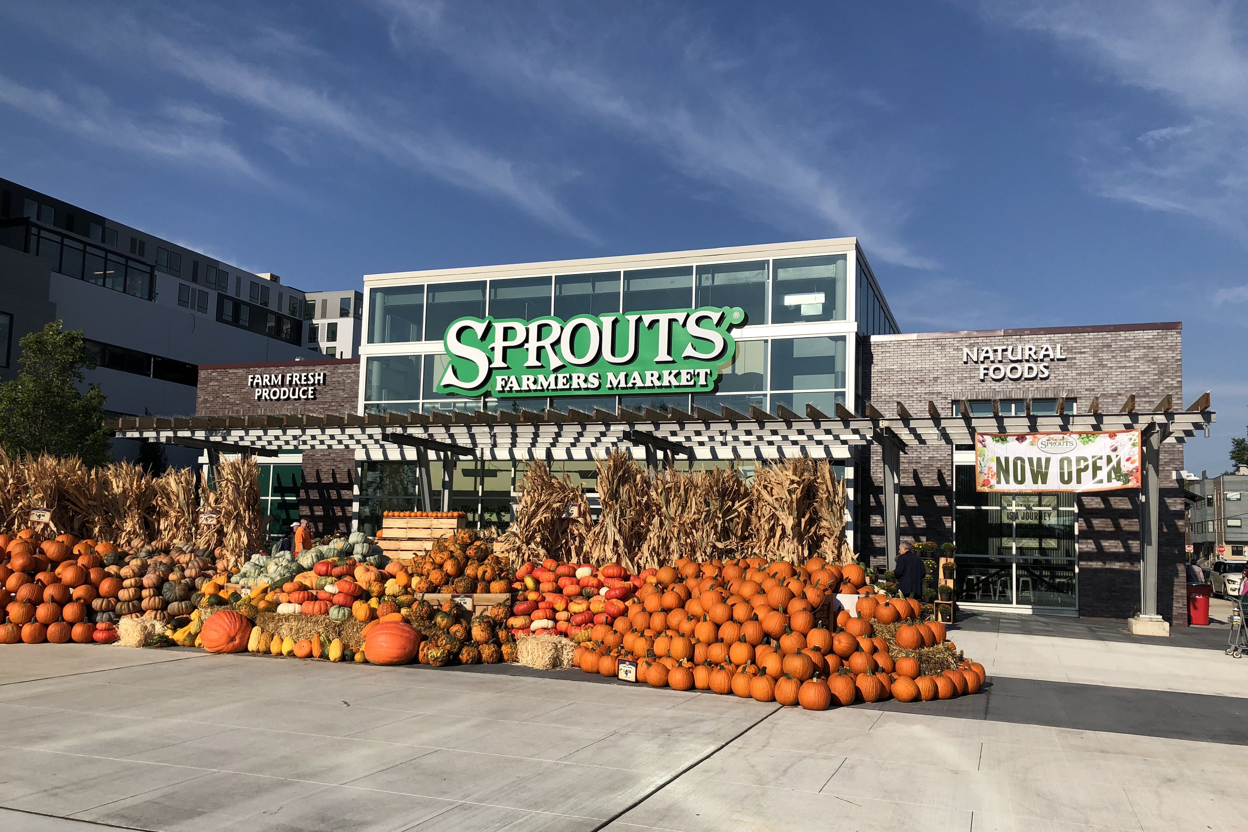 sprouts farmers market business model