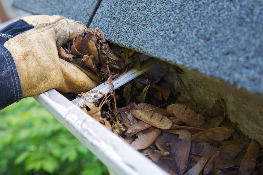 fall home tips cleaning gutters