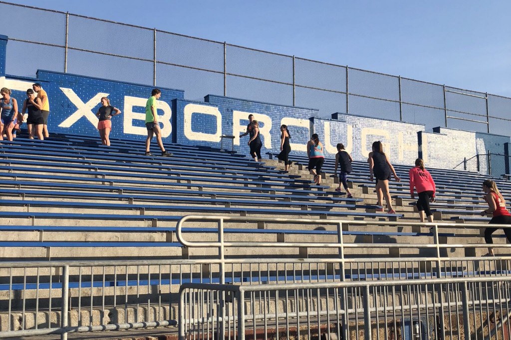 free goalsfit workouts