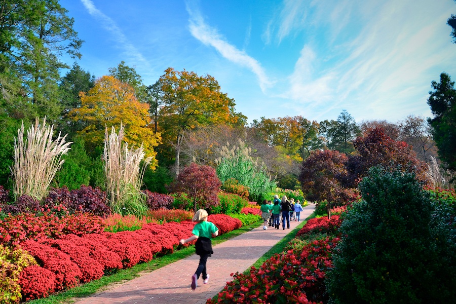 kennett square neighborhood guide longwood gardens