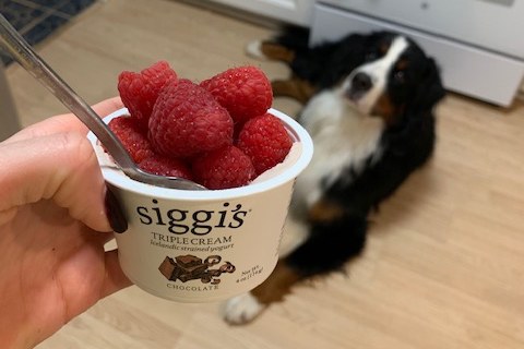 solidcore instructor food diary