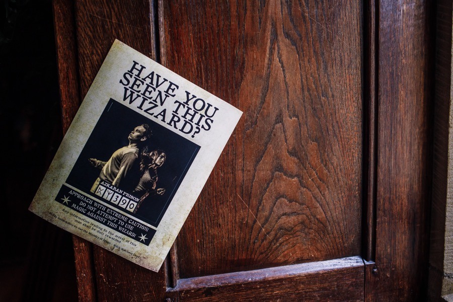 harry potter save the date
