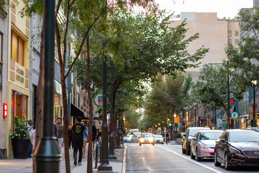 center city district trees