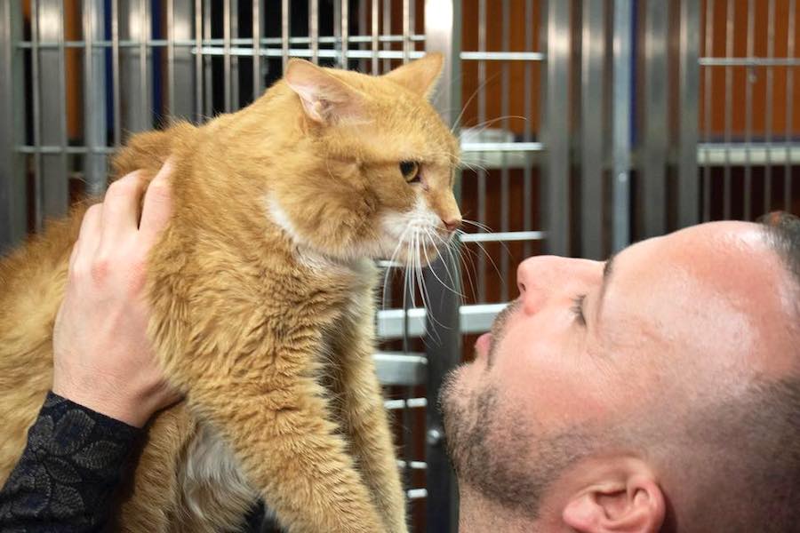 yannick playlist for pets classical music