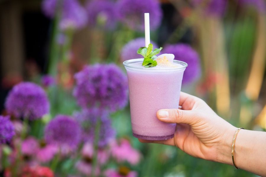 frozen mojito philadelphia