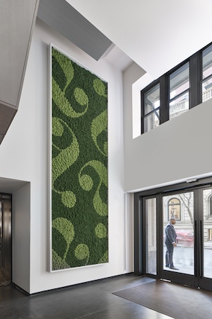 aka rittenhouse renovation 2019 green wall