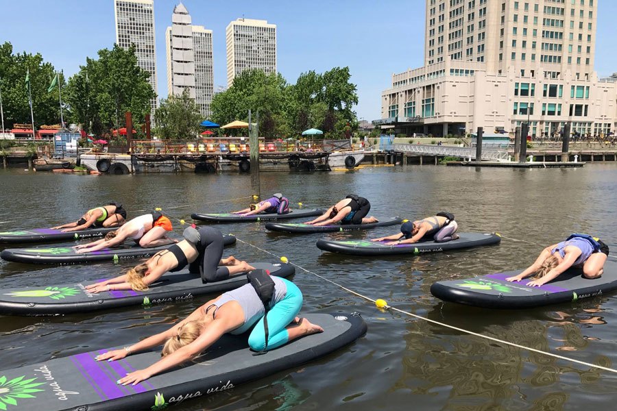 aqua vida august studio of the month