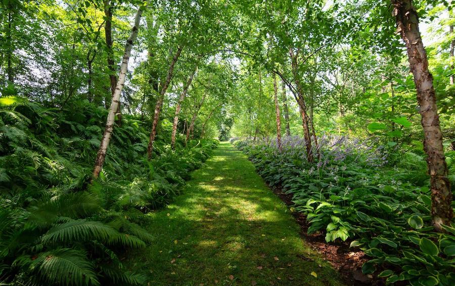 house for sale wrightstown hortulus farm woodland path