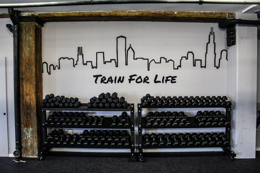 willpower live kensington