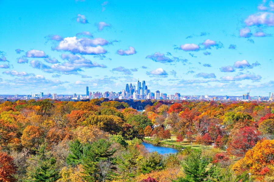 Fall Leaf Color Chart