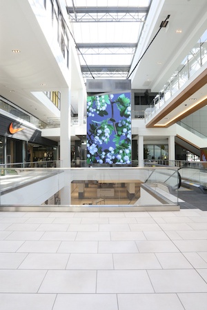 fashion district philadelphia review central digital display