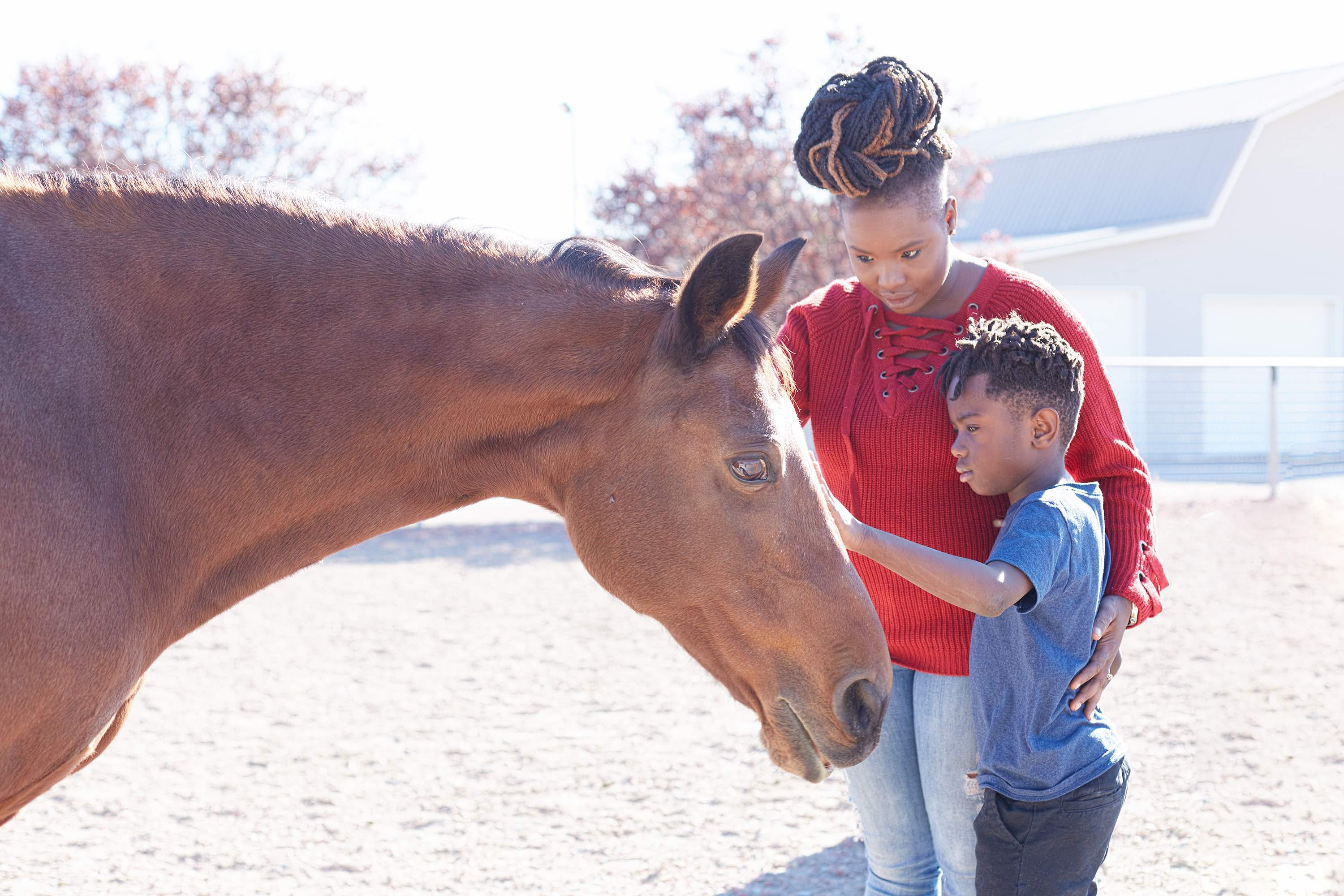 horses mental health