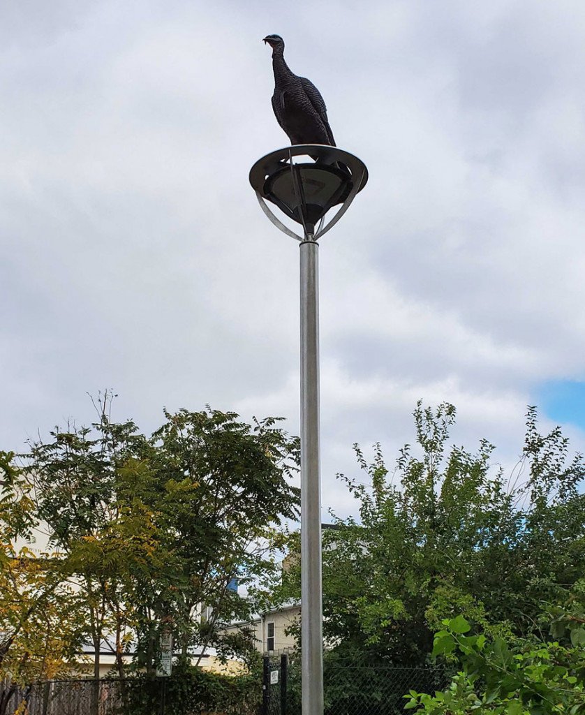 Leni Lenape sculptures