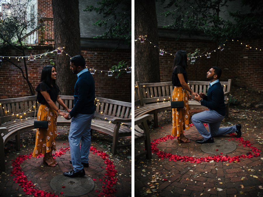 elfreths alley proposal
