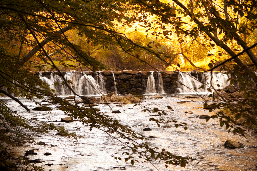 ridley creek state park
