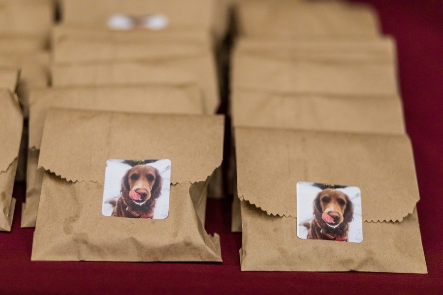 Dog wedding decor