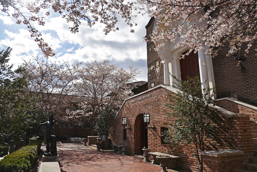 penn museum warden garden
