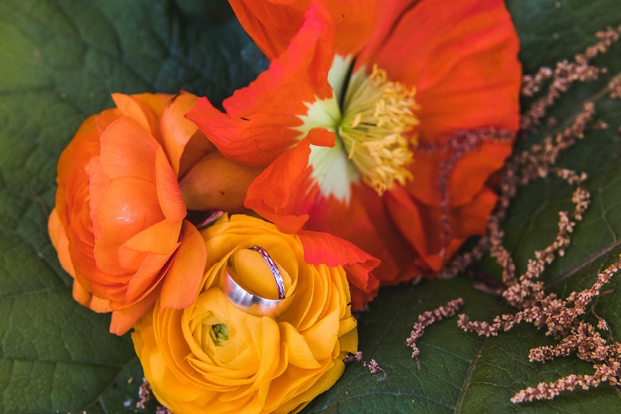 Awbury Arboretum wedding