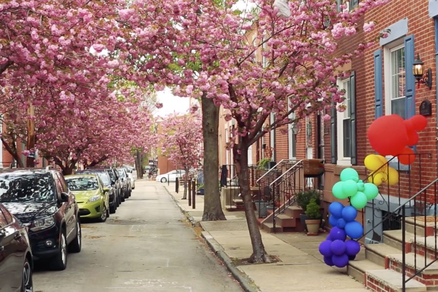 fairmount rainbows video