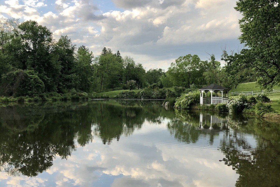 pond