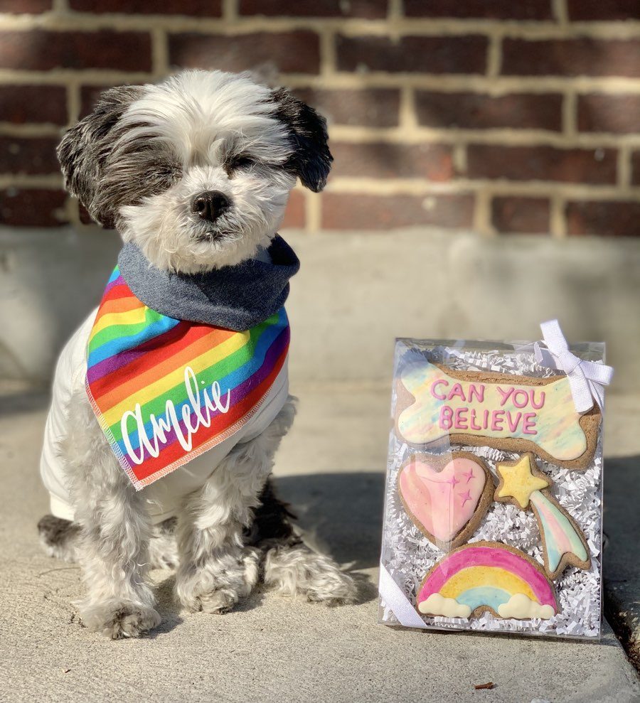 Amelie's Bark Shop Queer Eye Merchandise