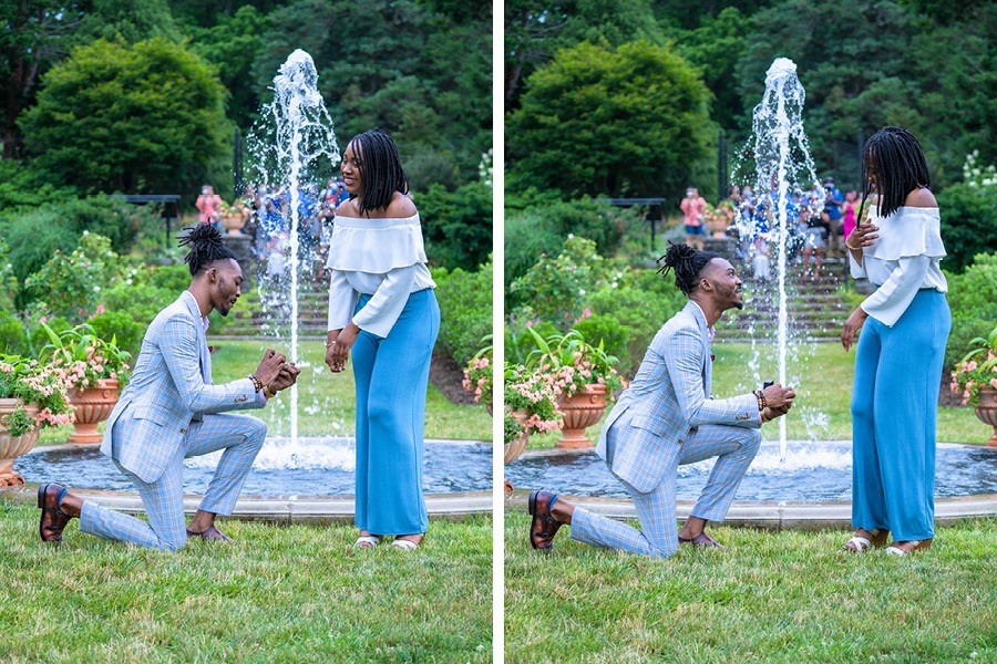 Morris Arboretum proposal