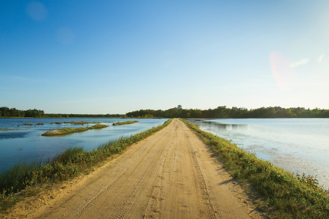 pinelands