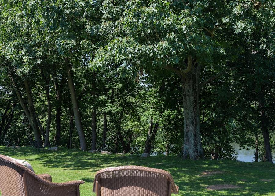 view of river from backyard