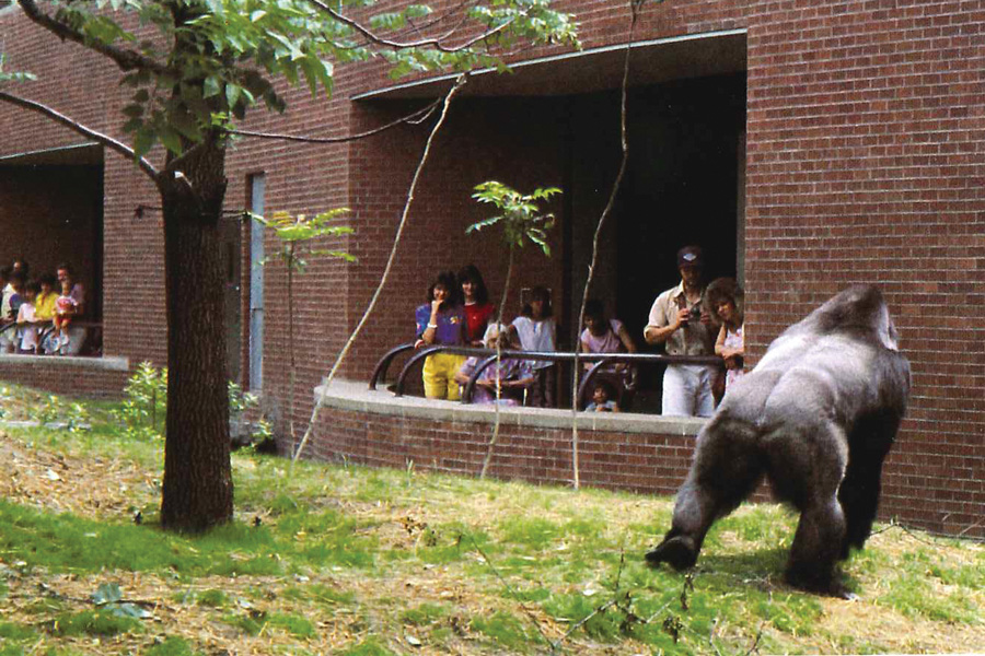 philadelphia zoo fire