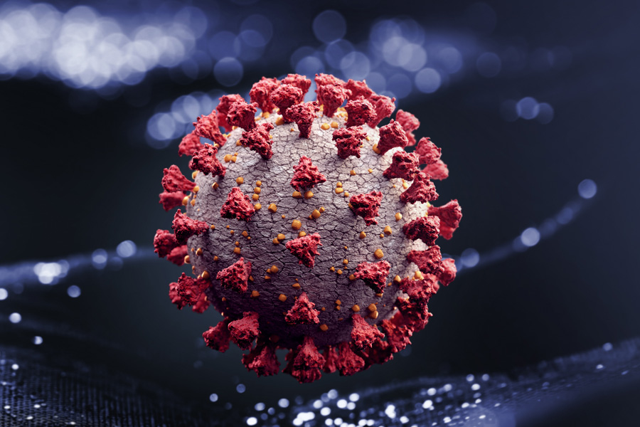 coronavirus variants