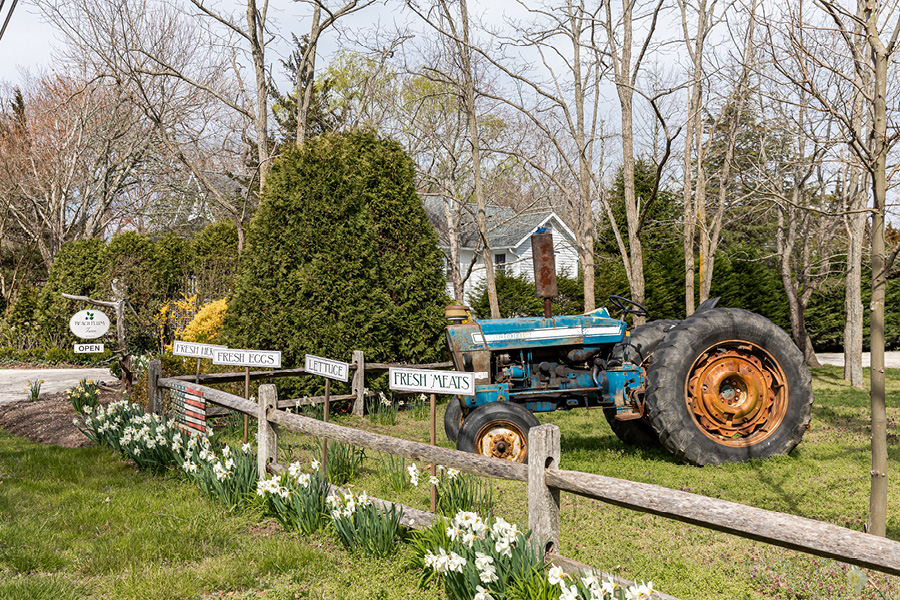The farm