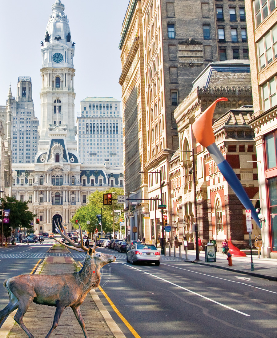 philadelphia deer