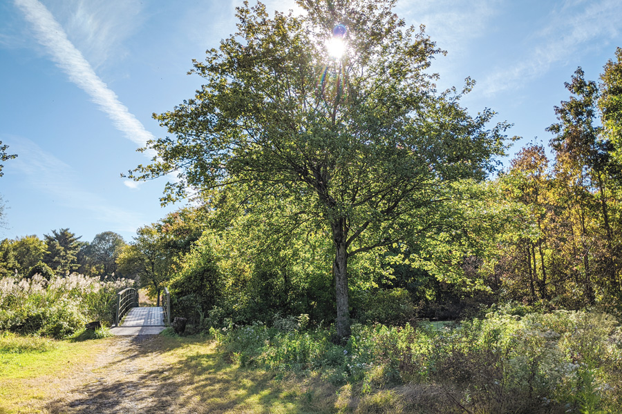 fdr park golf course