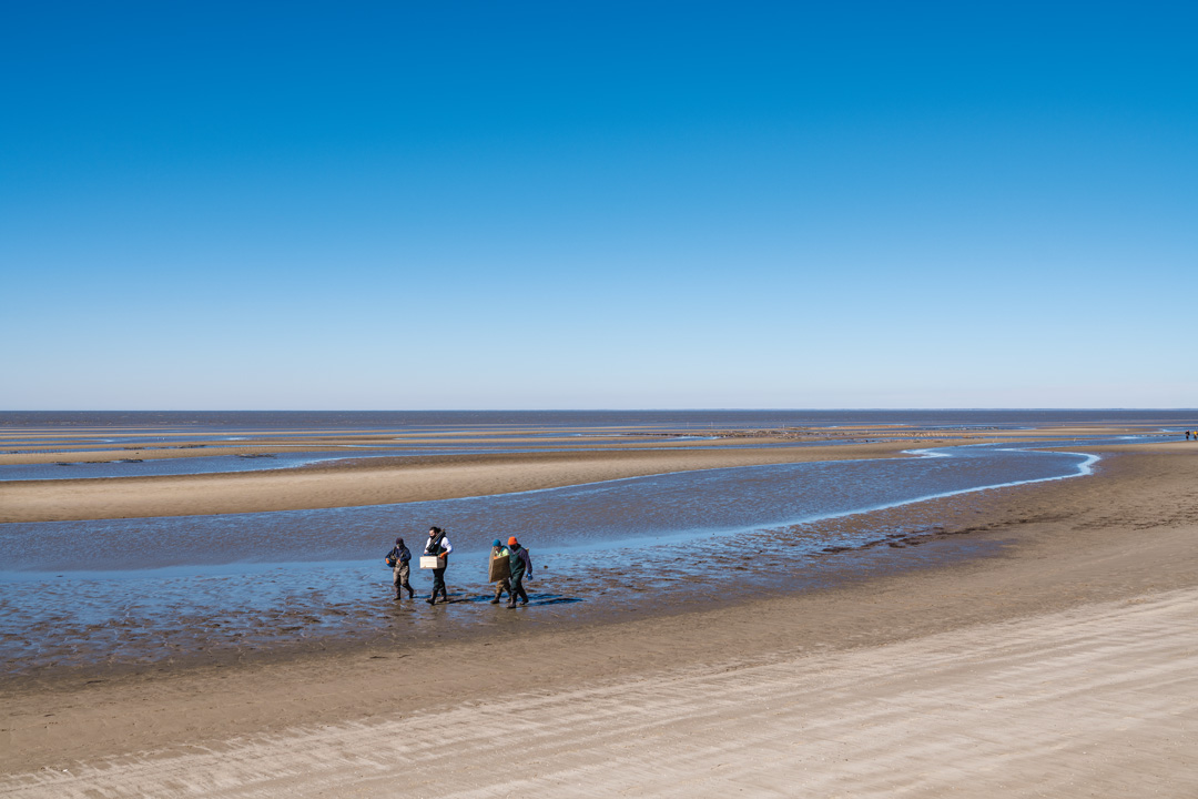 Sweet Amalia Oyster Farm