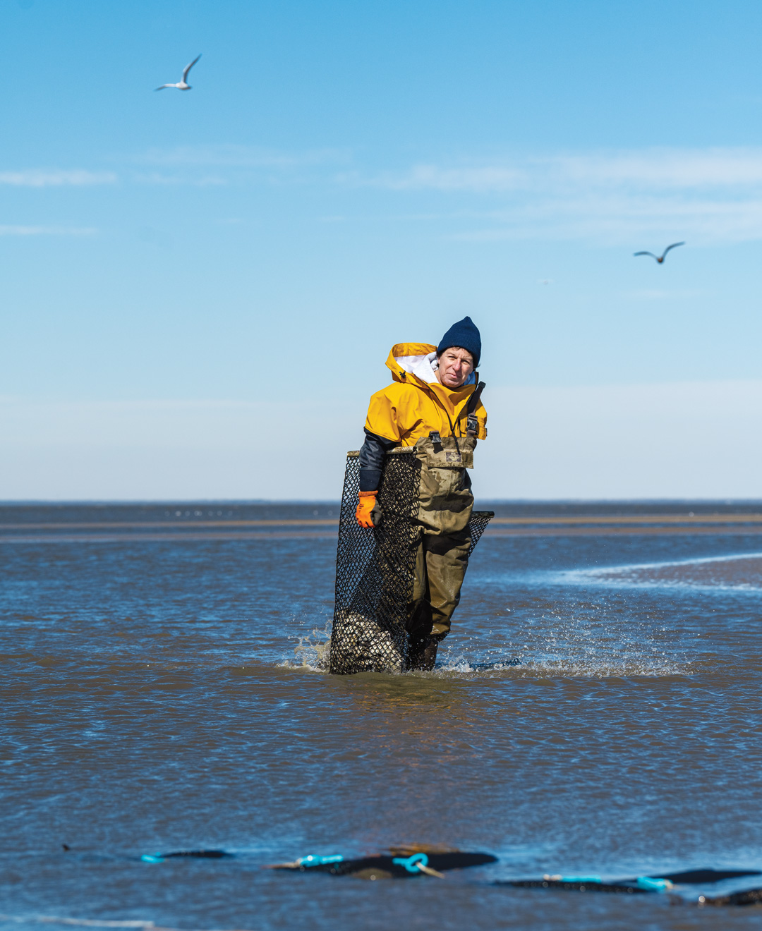Sweet Amalia Oyster Farm