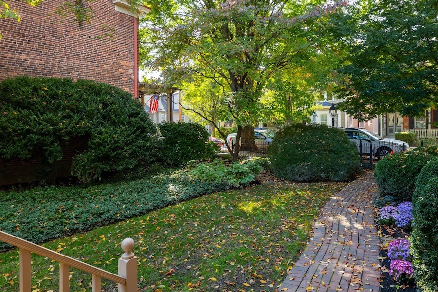 side yard