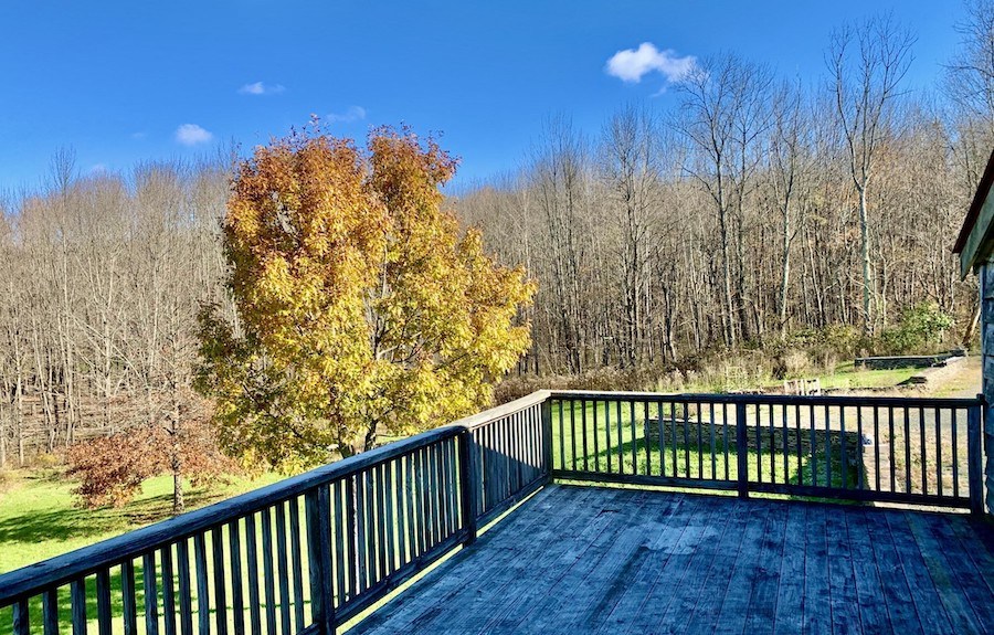 view from deck
